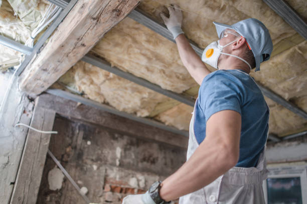 Best Residential Insulation in , DC